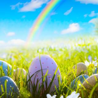 Easter flowers meadow wallpaper
