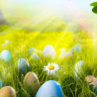 Easter flowers meadow wallpaper