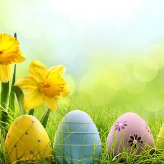 Easter flowers meadow wallpaper