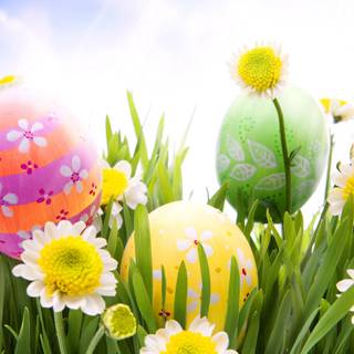 Easter flowers meadow wallpaper