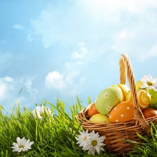 Easter flowers meadow wallpaper