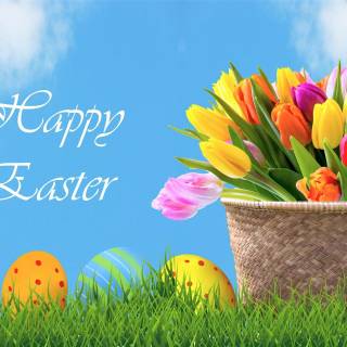 Easter flowers meadow wallpaper