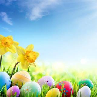 Easter flowers meadow wallpaper