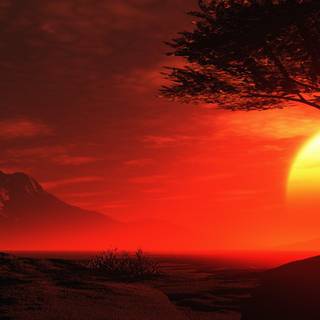 Summer night vibe wallpaper