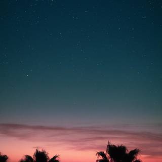 Summer night vibe wallpaper