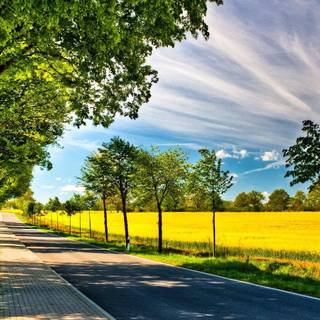 Daytime summer wallpaper