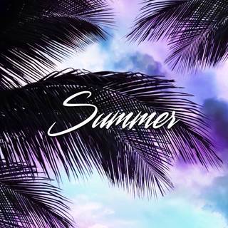Daytime summer wallpaper