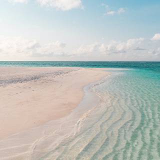 Daytime summer wallpaper