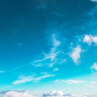 Daytime summer wallpaper