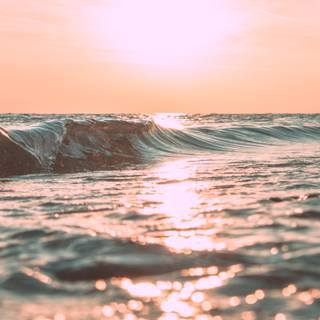 Daytime summer wallpaper