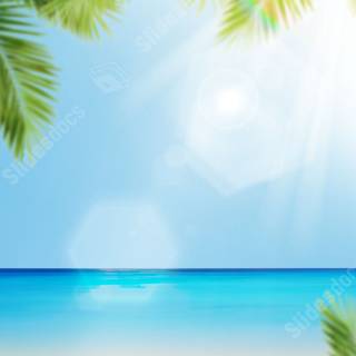 Daytime summer wallpaper