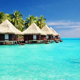 Daytime summer wallpaper