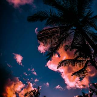 Daytime summer wallpaper