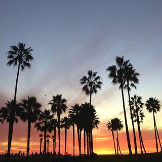 Daytime summer wallpaper