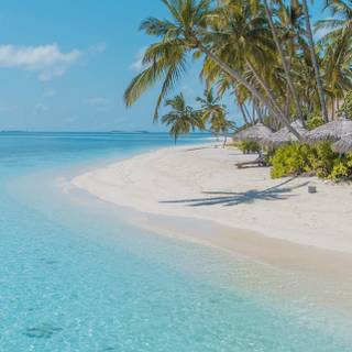 Daytime summer wallpaper