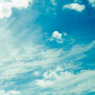 Daytime summer wallpaper