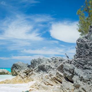 Daytime summer wallpaper