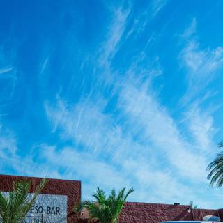 Daytime summer wallpaper