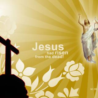 Jesus is risen wallpaper