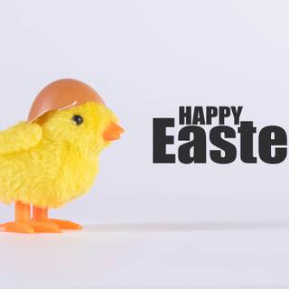 Happy Easter chickens wallpaper