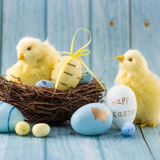 Happy Easter chickens wallpaper