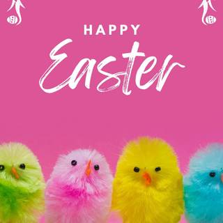 Happy Easter chickens wallpaper