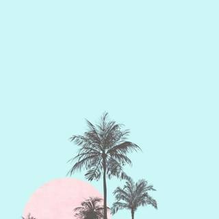 Summer pink and teal wallpaper