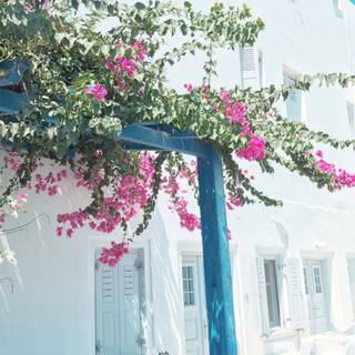 Summer pink and teal wallpaper