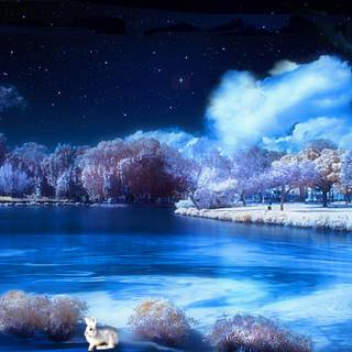 Night theme wallpaper