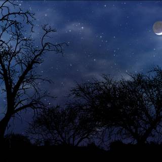 Night theme wallpaper