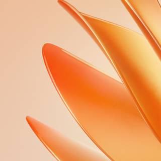 Meizu 20 Pro wallpaper