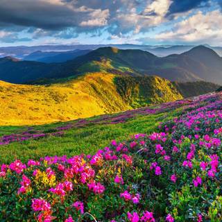 Iran nature wallpaper