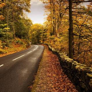 Iran nature wallpaper