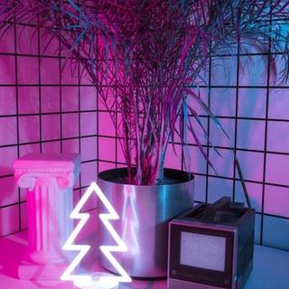 Hot pink summer wallpaper