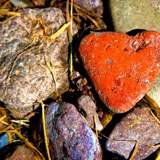 Summer feeling love wallpaper