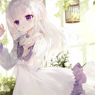 Spring nature elf wallpaper