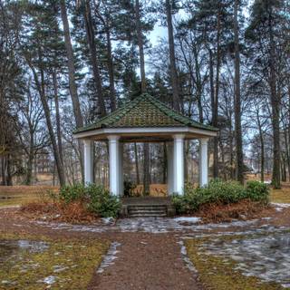 Park trees spring wallpaper