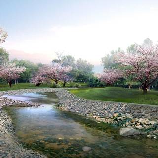 Park trees spring wallpaper