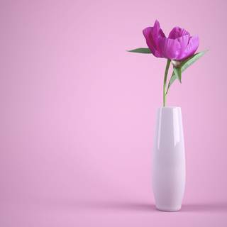 Spring pink flower wallpaper