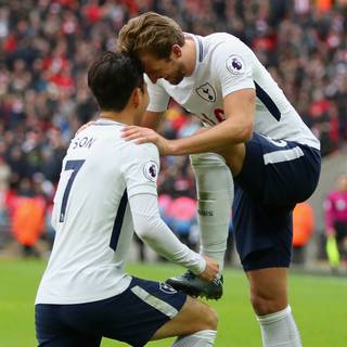 Harry Kane and Son wallpaper