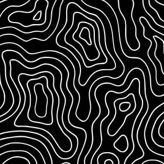 Black and white topo wallpaper