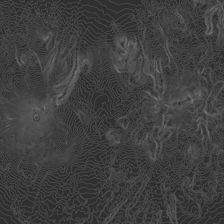 Black and white topo wallpaper