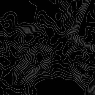 Black and white topo wallpaper