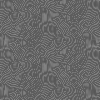 Black and white topo wallpaper