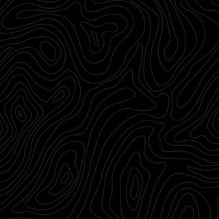 Black and white topo wallpaper