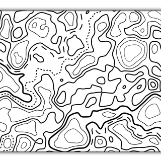 Black and white topo wallpaper