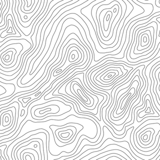 Black and white topo wallpaper