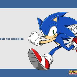 Old Sonic wallpaper