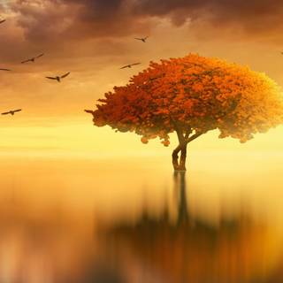 Sunrise art wallpaper