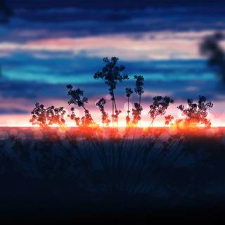 Sunrise art wallpaper